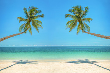 Fototapeta na wymiar Leaning palm trees over a beach with turquoise sea