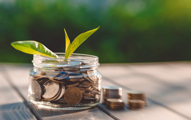 Growth of business and coins. Business Development Concept