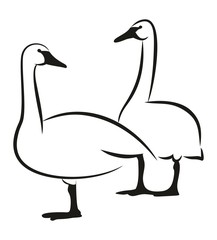 Пара гусей