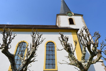 Katholische Kirche St. Jakob in Hambach an der Weinstraße Rheinland-Pfalz 