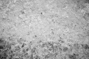 Texture abstraction of water and algae at the bottom of a drained pond. Black and white image.