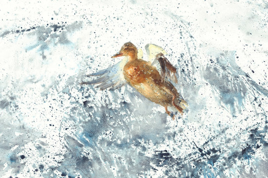 a duck in the sea splatter watercolor background