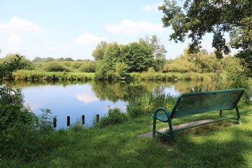 Obraz premium Bank am Waldteich im Sommer im Naturpark Steinhuder Meer