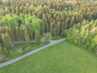 Aerial view of forest in evening sunlight, warm colors, in Switzerland