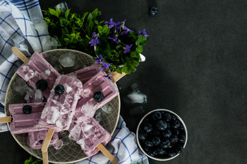 Blueberry popsicle ice cream on a dark background