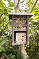 a wooden house for insects