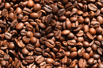 Roasted coffee beans, brown texture.