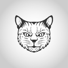 cat isolated on white background, Vector illustration.
