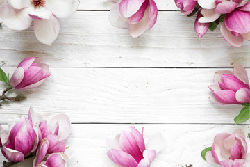 Creative layout made with pink magnolia flowers on white wooden background. Flat lay. top view - obrazy, fototapety, plakaty