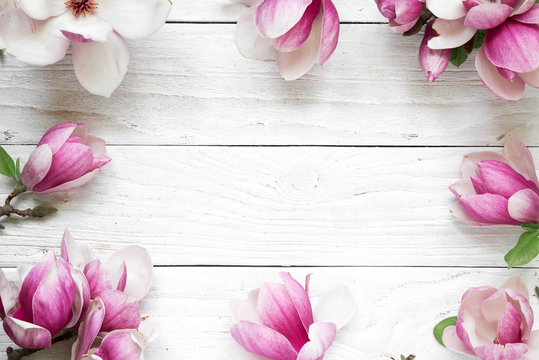 Fototapeta Creative layout made with pink magnolia flowers on white wooden background. Flat lay. top view