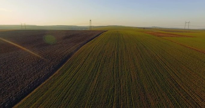 Aerial view of green fields. 4K