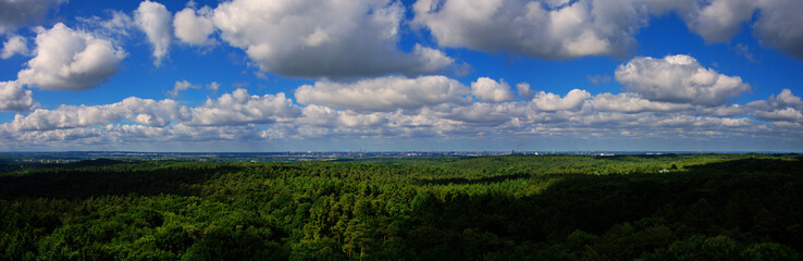Fototapeta na wymiar Wald Panorama Luftaufnahme - Weiter Horizont mit wolkigem Himmel