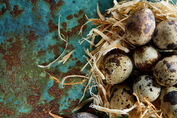 Conceptual still-life with quail eggs in hay nest over blue textured background, close up, selective focus
