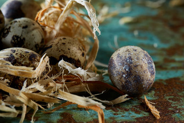 Conceptual still-life with quail eggs in hay nest over blue textured background, close up, selective focus