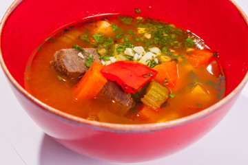 Soup with beef and vegetables