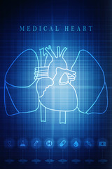 2d illustration  Anatomy of Human Heart 