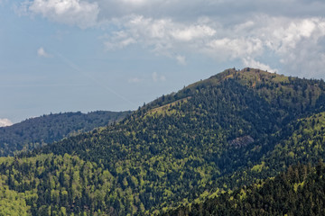 Montagne des Vosges