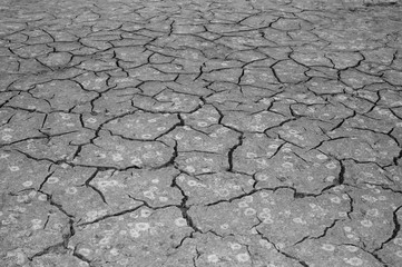 The texture of the cracking of the earth. The concept of using natural resources. Black and white image.