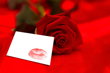 Red rose lying on surface against white card