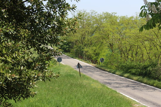 Vernasca