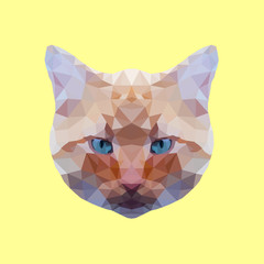 Red cat on the yellow background. Polygonal animal. Low poly style
