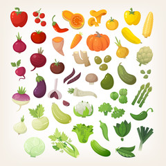 Set of common vegetables organized in rainbow layout. 