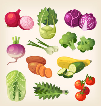 Common and exotic grocery, garden and field vegetables. Icons for labels and packages or for kid's education.