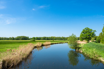 Landschaft im Spreewald bei Lübbenau