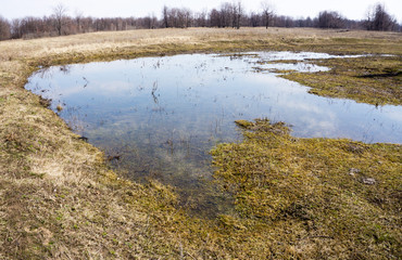 Water floated on dry last year`s grass meadow in spring, hills with gray forest without leaves, blue cloudy sky