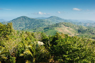 Obraz premium panoramic view from the hill Big Buddha in Phuket Thailand