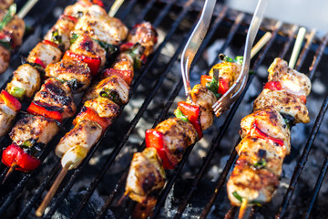 Close up pf delicious chicken breast on wooden skew with fresh vegetables, garlic, paprika fried on mangal barbeque grill