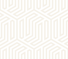 SET 100 Hexagonal Shapes Tiling 04 S