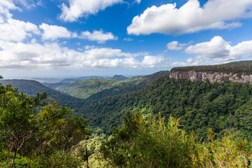 Obraz premium Lush rainforest and rugged cliffs under fluffy white clouds. Springbrook National Park, Queensland, Australia