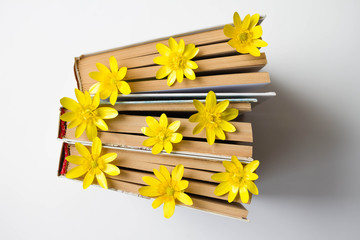 Fresh flowers between the pages of a closed books