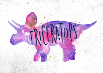Dynosaur triceratops vivid © anna42f