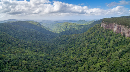 Aerial panoramic landscape of Springbrook National Park in Queensland, Australia