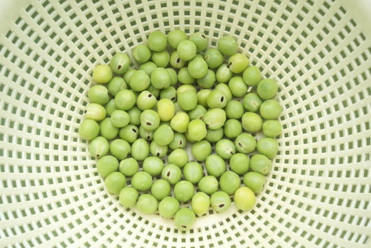 新鮮なグリーンピースと水切りかご - Fresh green peas in a drainer