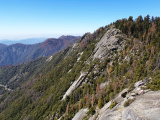 View from the Top of Moro Rock in Sequoia National Park, Sierra Nevada, California 