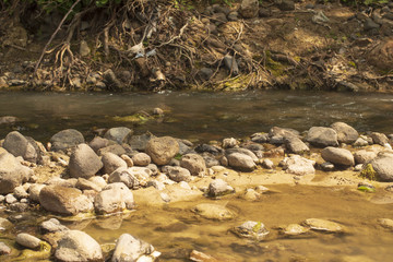 Bahçeler,çiçekler