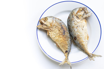 Mackerel fired fish in the plate on white background.