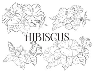 Set of hand drawn hibiscus flower. Colorful collection of tropical flowers. Beautiful floral composition with exotic blooms of rose mallow
