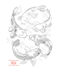 Set of black and white hand drawn koi