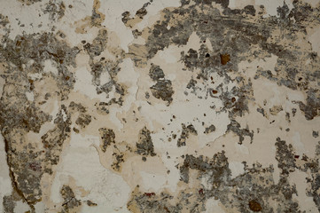 Wall with Stripped paint Texture 2