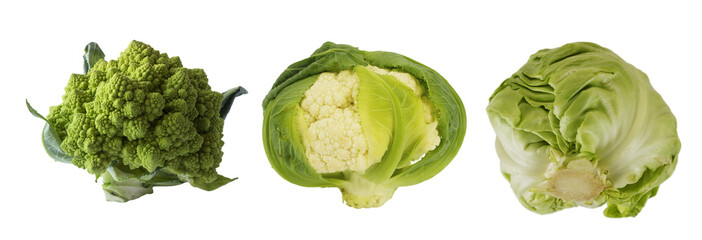 Fototapeta premium Broccoli, cauliflower and cabbage isolated on white background. with copy space for text. Сabbage with copy space for text. Green food on a white background. Green vegetables isolated on a white. 