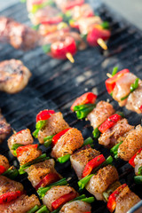 Close up pf delicious chicken breast on wooden skew with fresh vegetables, garlic, paprika fried on mangal barbeque grill