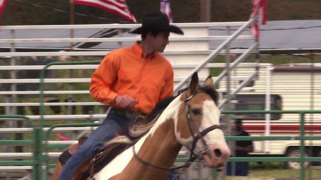 Cowboy riding a pinto horse in tight circles near a rodeo arena fence