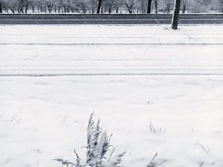 Snowfall. Snow cyclone. The streets of the city are covered with snow. The tops of the trees are...