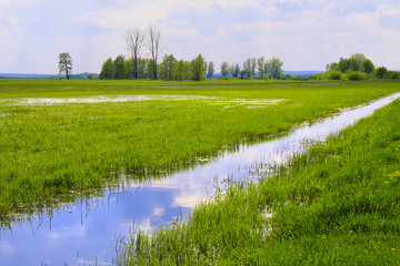 Obraz premium Panoramic view of wetlands covered with early spring green grass and woods in Biebrza River wildlife refuge in north-eastern Poland.