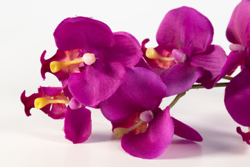 Künstliche lila farbene Orchidee isoliert vor weißem Hintergrund