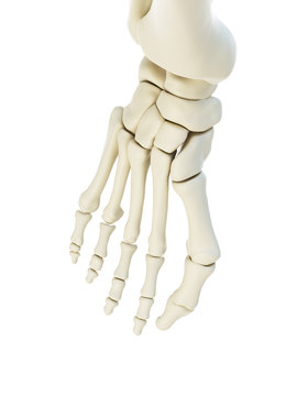 3d rendered, medically accurate illustration of a bunion